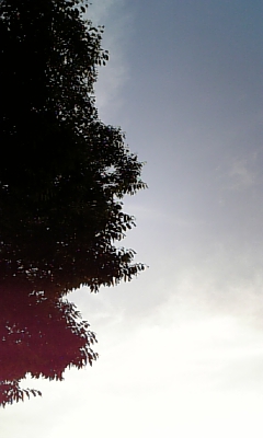 d0067640_2040375.jpg