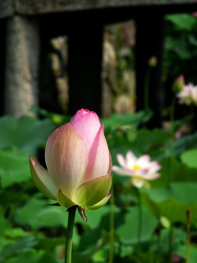 c0057946_22615100.jpg