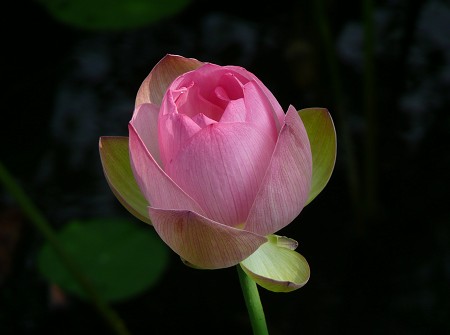 c0057946_2274349.jpg
