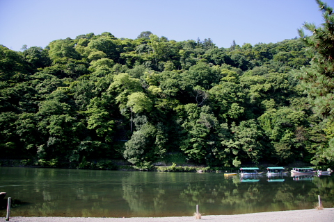 a0024250_2214647.jpg