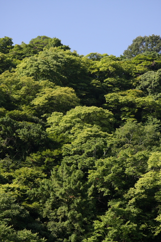 a0024250_2222558.jpg