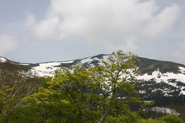 e0122855_2364244.jpg
