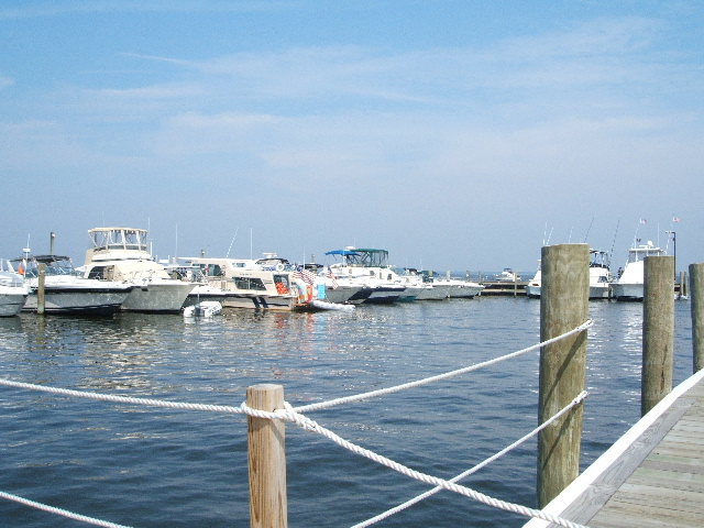d0107660_1231225.jpg
