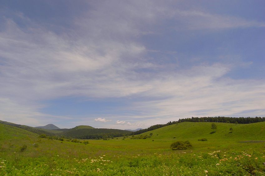 f0103860_11403063.jpg