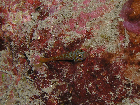 b0062363_22553236.jpg