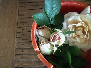 f0142668_71373.jpg