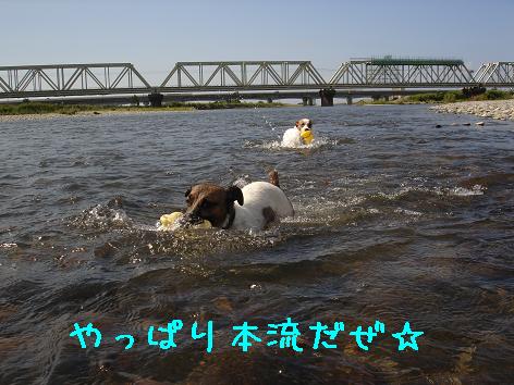 f0132772_8334591.jpg