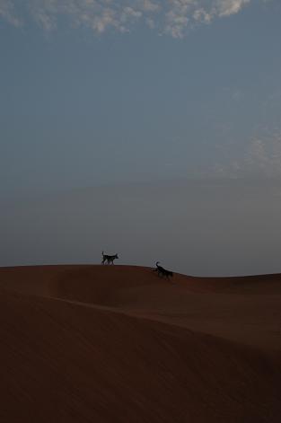 e0066474_2101764.jpg
