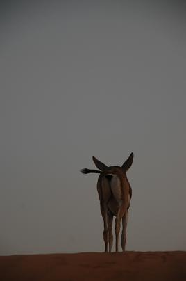 e0066474_21233467.jpg