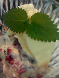 f0140174_1055997.jpg