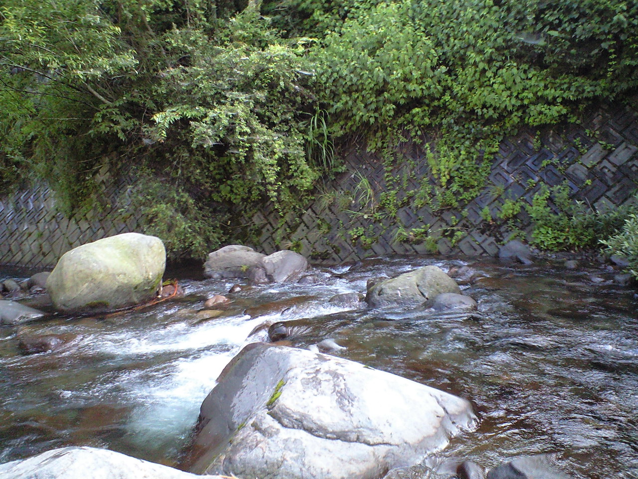 a0093677_1047148.jpg