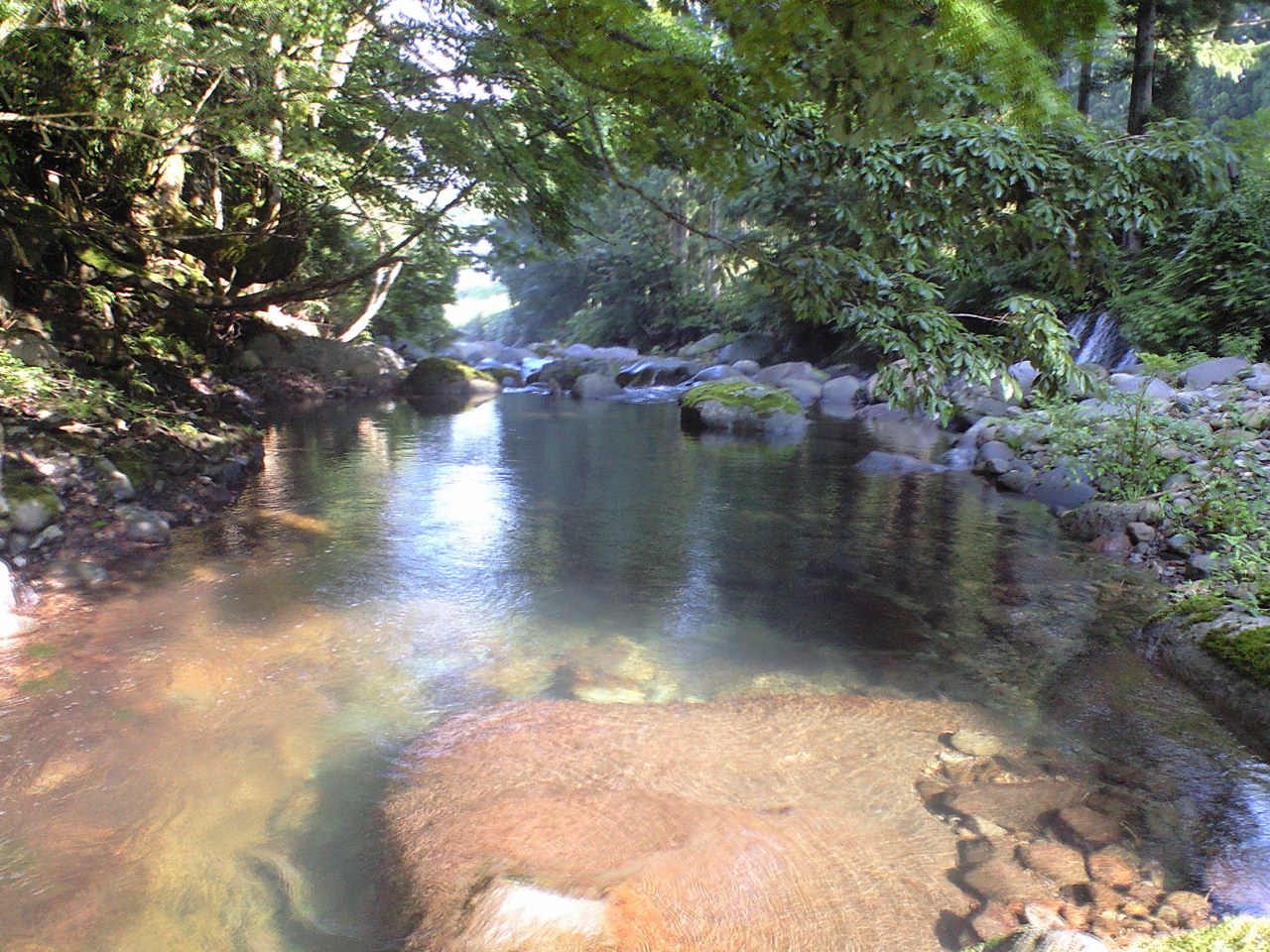 a0093677_10574088.jpg