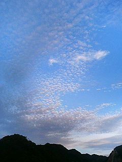 f0054677_6482658.jpg