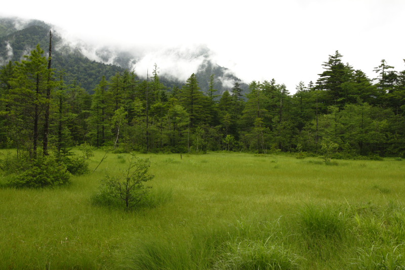 b0083779_18282254.jpg