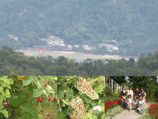 e0069481_1139158.jpg