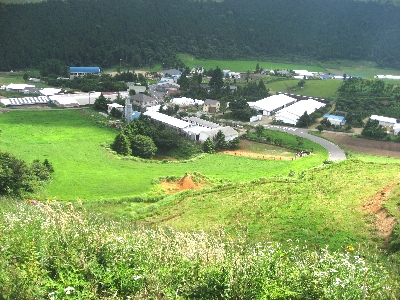 f0003283_10421043.jpg