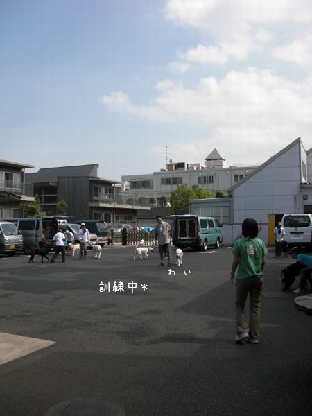 b0000885_20295594.jpg