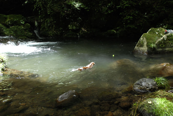 f0112087_212743100.jpg