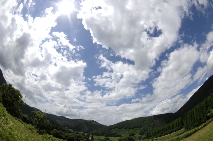 f0112087_21405789.jpg