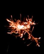 c0072589_4211540.jpg