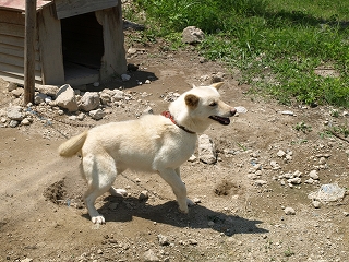 c0159589_16263388.jpg