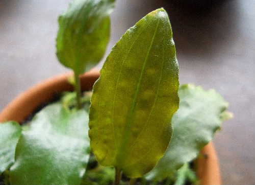 c0074591_2284399.jpg