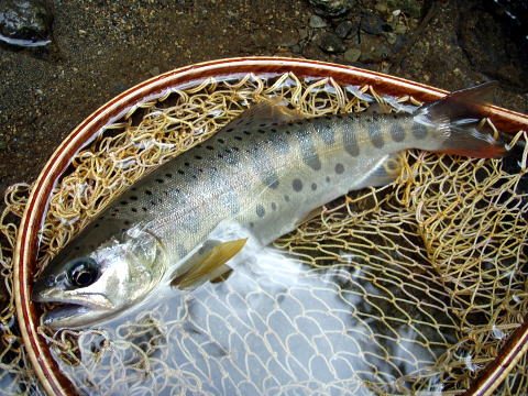 f0141392_22393788.jpg