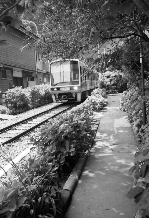 e0025893_0352137.jpg