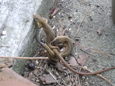 f0130894_21151043.jpg