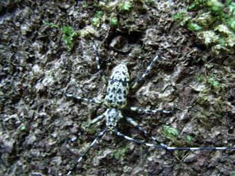 e0083097_23273530.jpg