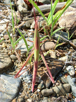 e0083097_2350392.jpg