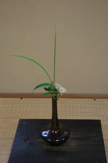 f0175799_0393398.jpg