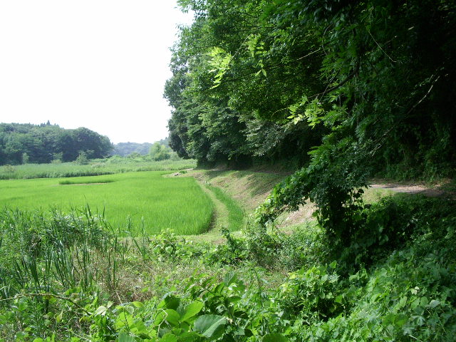 e0025300_1748491.jpg