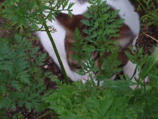 c0103205_21414627.jpg