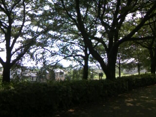 c0032006_2363474.jpg