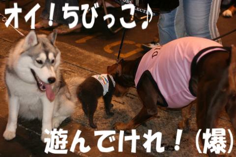 e0100007_16513276.jpg