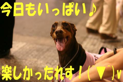 e0100007_1654463.jpg