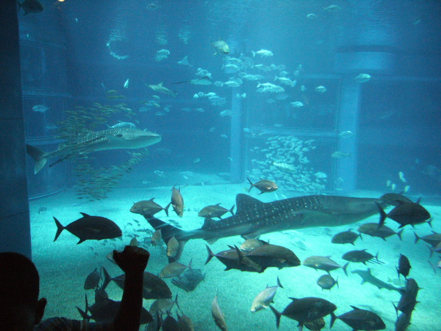 b0031009_1337142.jpg