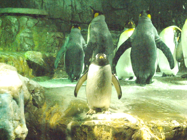 b0031009_13373861.jpg