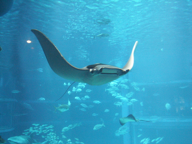 b0031009_13385348.jpg