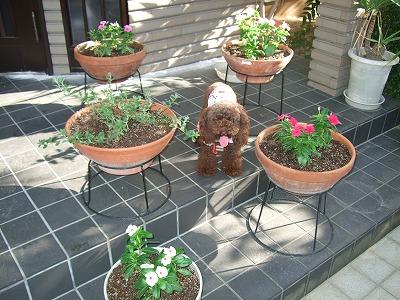 f0133510_17102081.jpg
