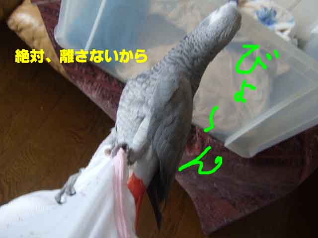 c0133013_7384117.jpg