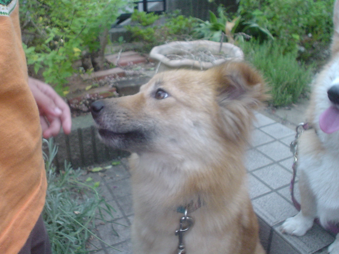 c0150520_220144.jpg