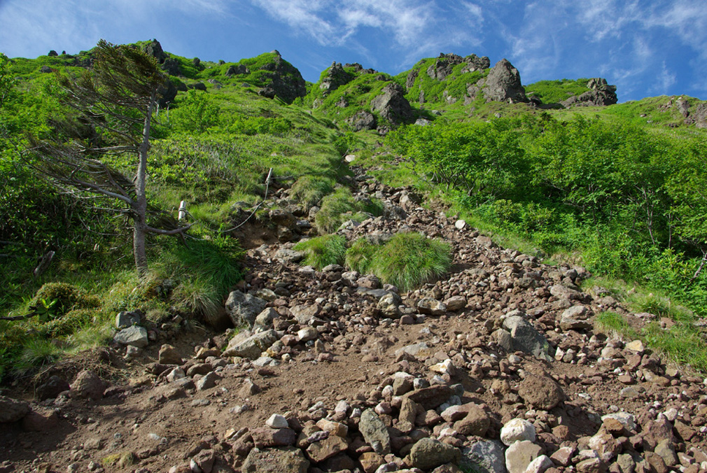 b0062024_11163964.jpg