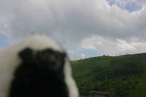 c0157226_23564157.jpg