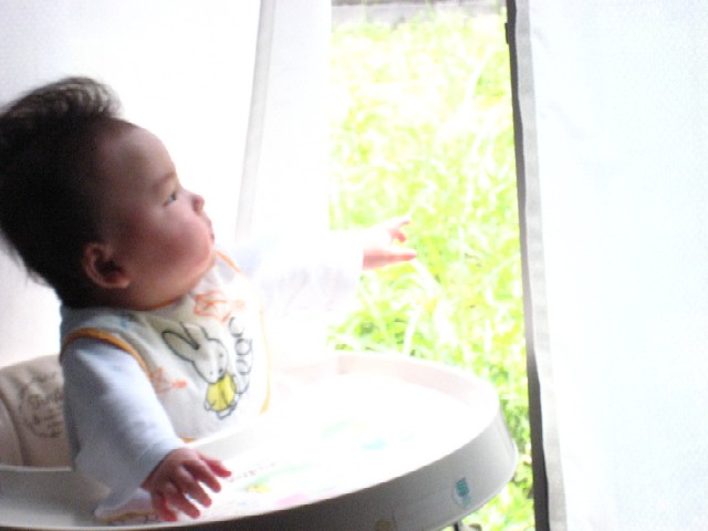 f0085728_2313982.jpg