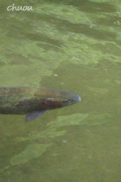 f0146531_04504.jpg