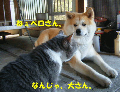 f0008935_1861795.gif