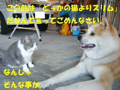f0008935_1862667.gif