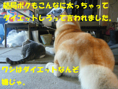 f0008935_1863515.gif